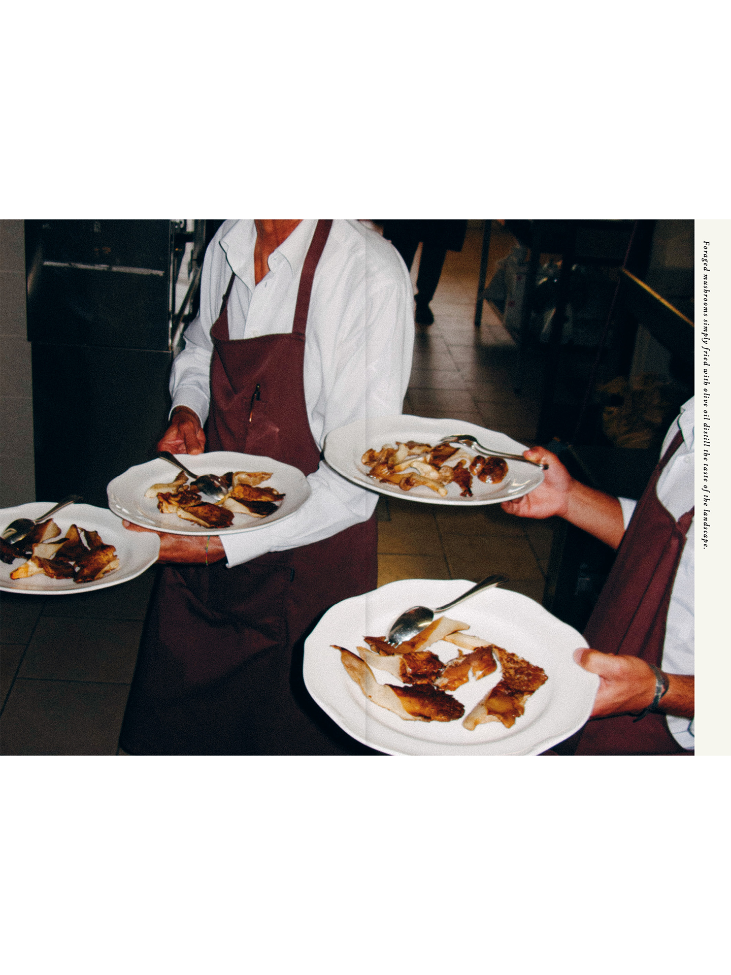 A book about Olive oil